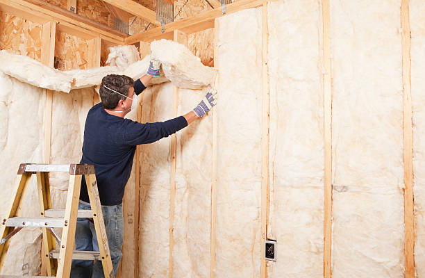 Best Garage Insulation  in Mahomet, IL